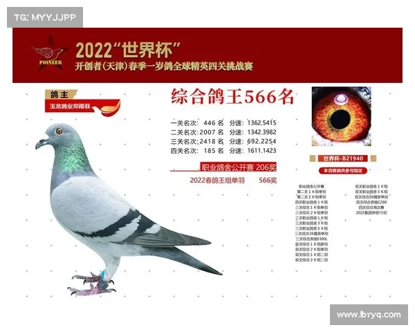 中国信鸽赛事平台官方网站